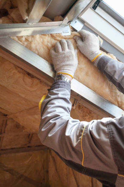 Best Best Insulation Companies  in Salem, WV