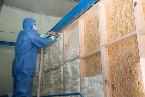 Best Local Insulation Services  in Salem, WV